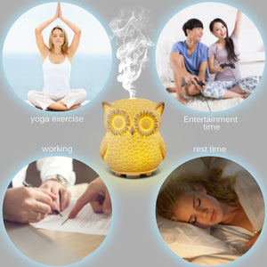 GIAHOL 60ML Capacity Owl Modeling, Essential Oil Diffuser, 5 In 1 Ultrasonic Aromatherapy Fragrant Oil Vaporizer Humidifier, Timer and Auto-Off Safety Switch