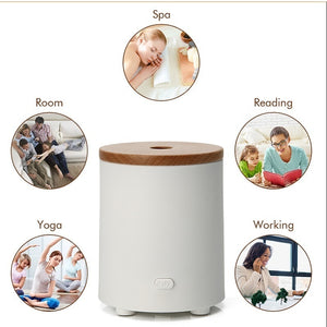 Cover Blower Aromatherapy Machine Powered By Usb Or Aaa Battery Pocket Fan Oil Diffuser(d72*h93mm)